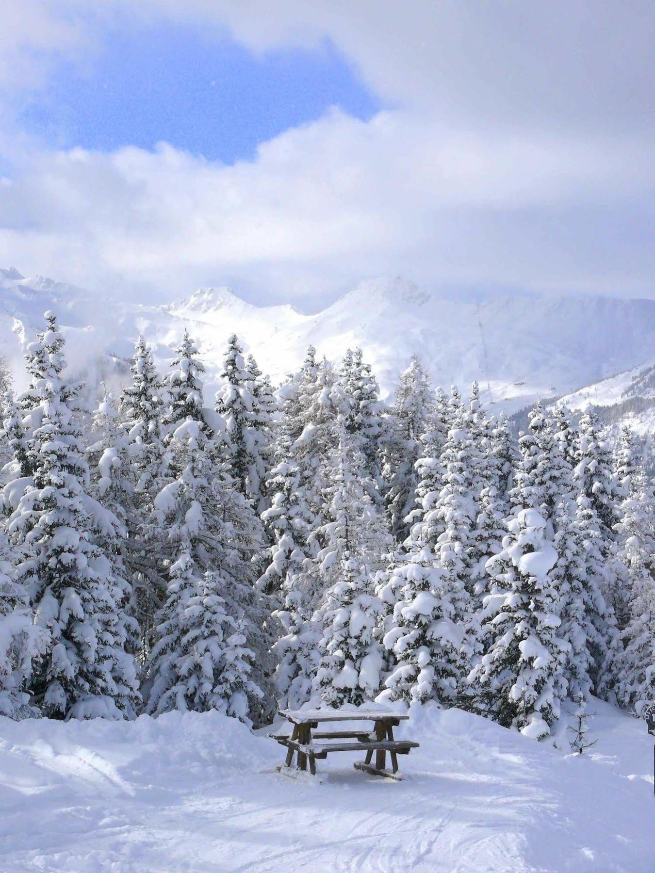 بيسي-نانكرويكس Chalet Des Domaines De La Vanoise المظهر الخارجي الصورة